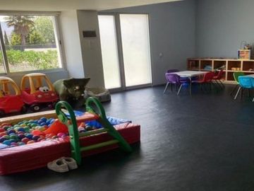 place photo 26