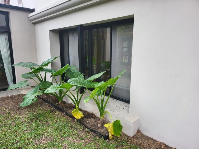 place photo 73