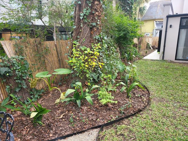 place photo 74