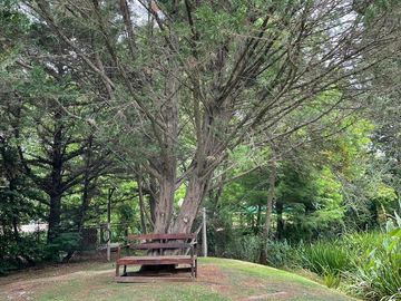 place photo 12