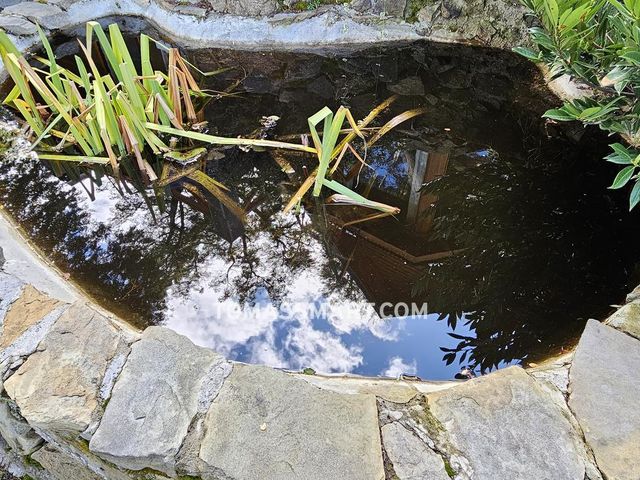 place photo 88