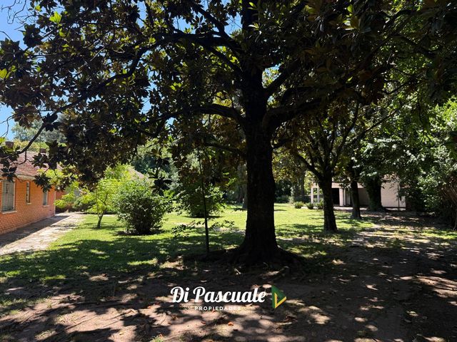 place photo 27