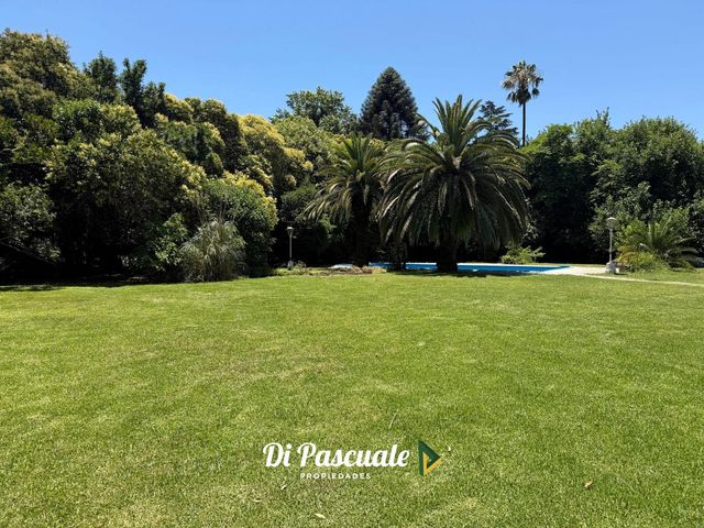 place photo 24