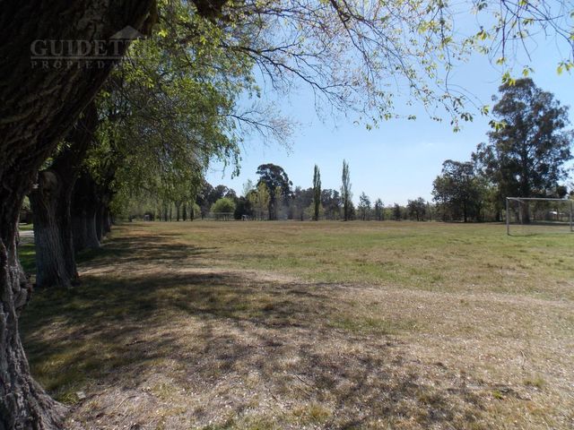 place photo 42