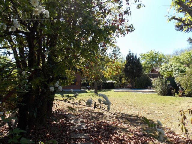 place photo 40
