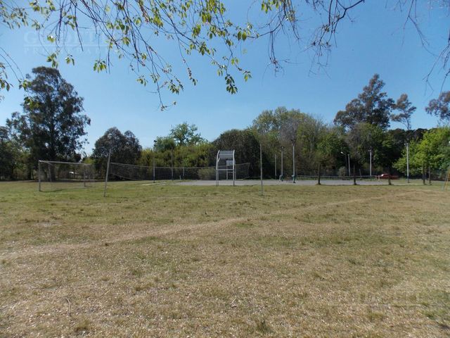 place photo 43