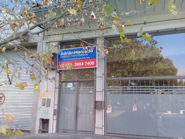 place photo 15