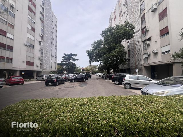 place photo 29