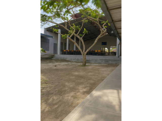 place photo 17