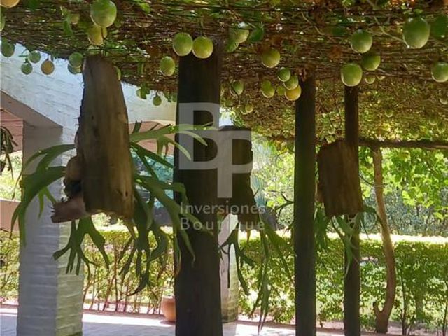 place photo 33