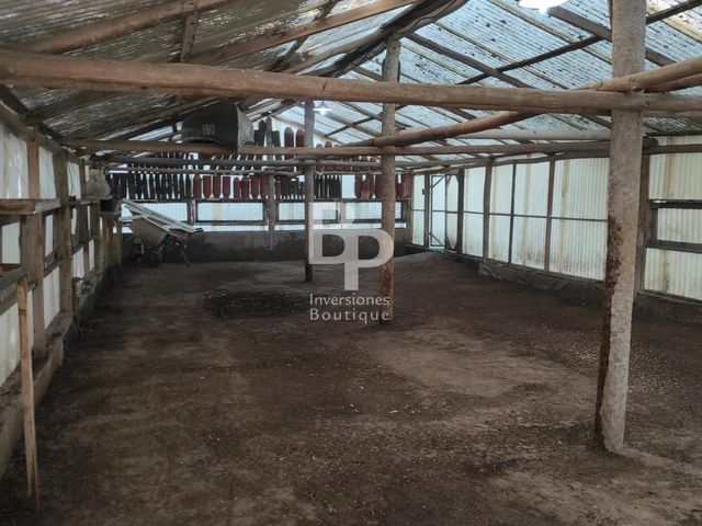 place photo 31