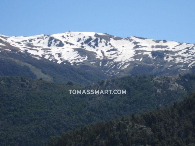 place photo 23
