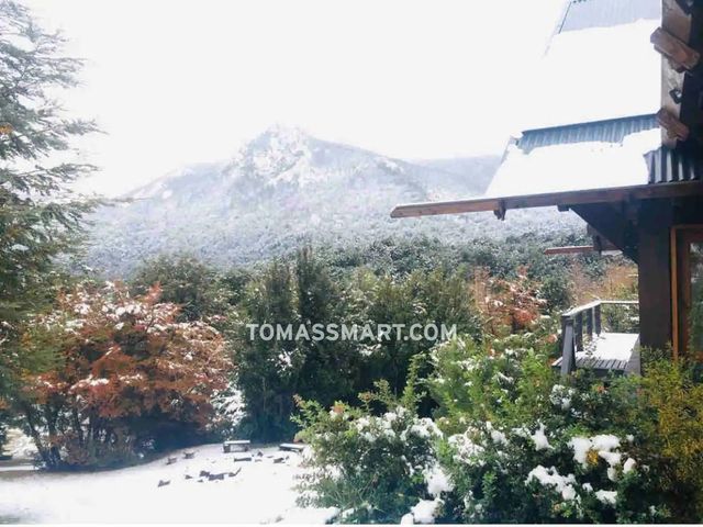 place photo 21