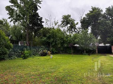 place photo 34