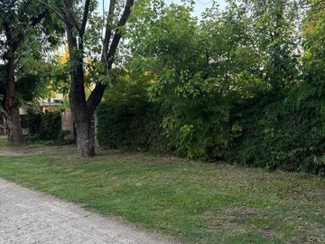 place photo 37