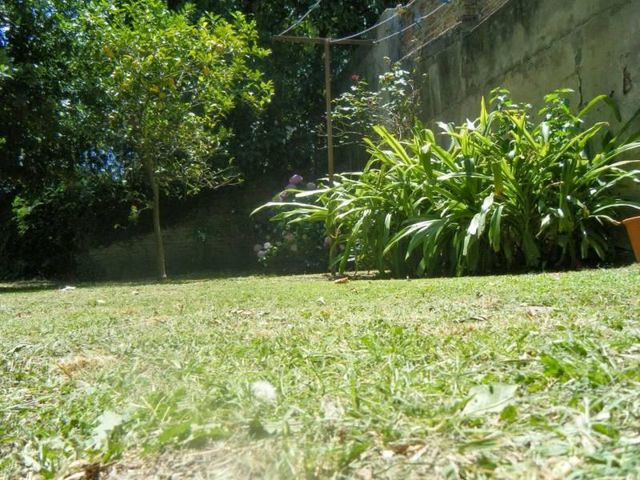 place photo 21