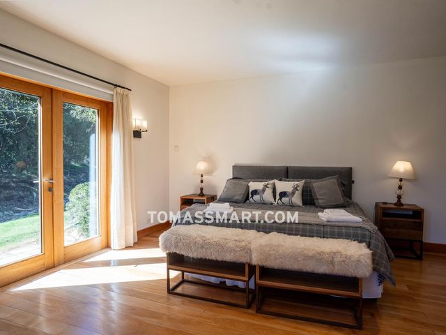 place photo 76