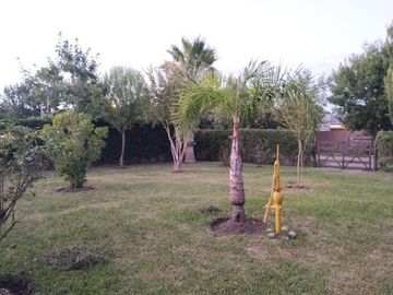 place photo 4