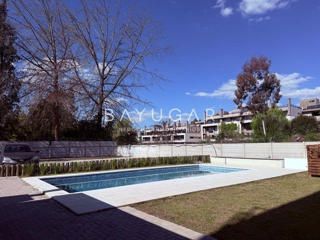 place photo 27