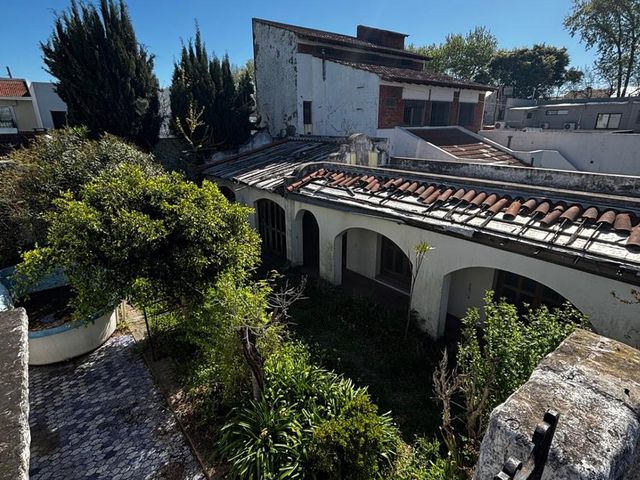 place photo 41