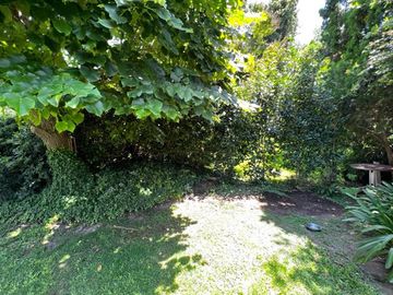 place photo 43