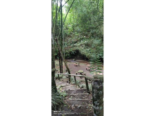 place photo 45