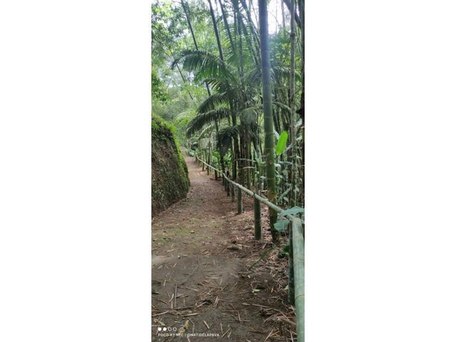 place photo 42