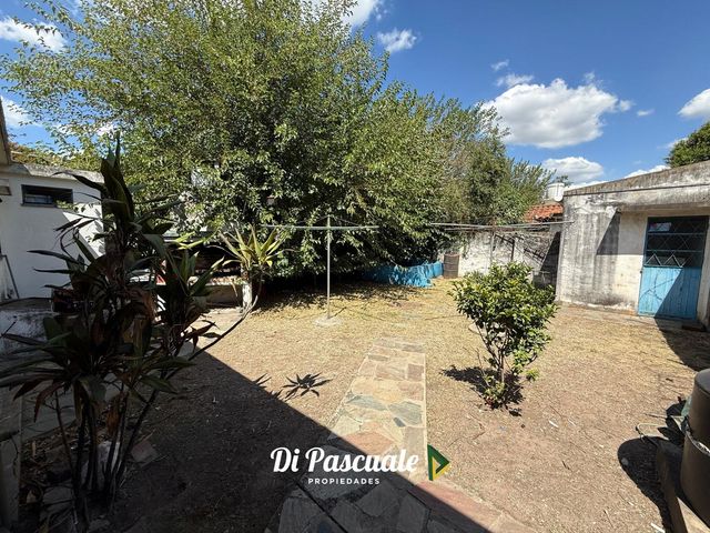 place photo 28