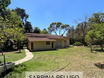place photo 36