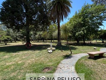 place photo 35
