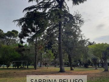 place photo 21