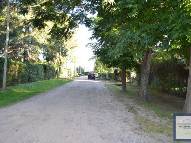 place photo 30