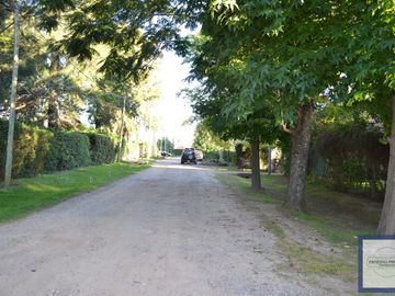 place photo 30