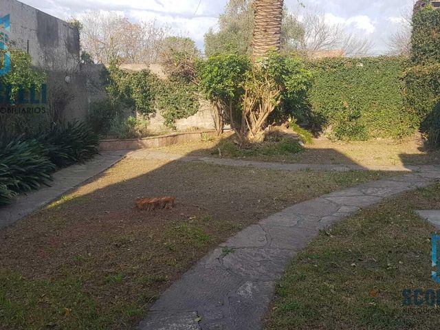 place photo 35