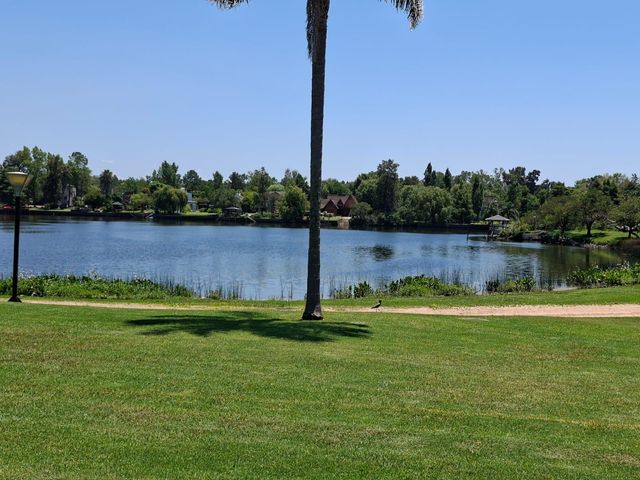 place photo 61