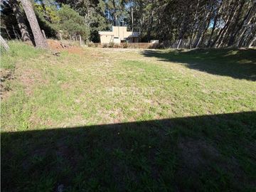 place photo 36