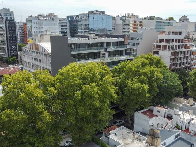 place photo 48