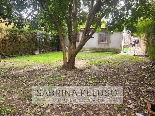 place photo 37