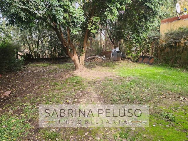 place photo 35