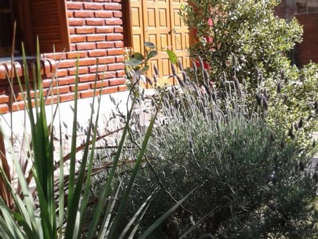 place photo 35