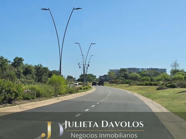 place photo 32
