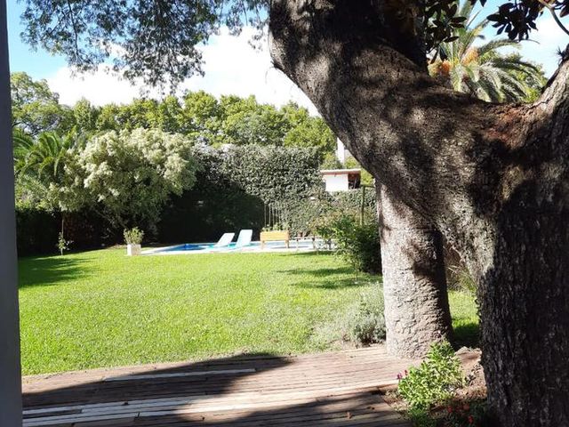 place photo 46