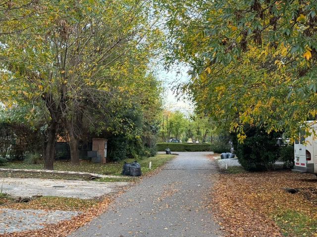 place photo 44