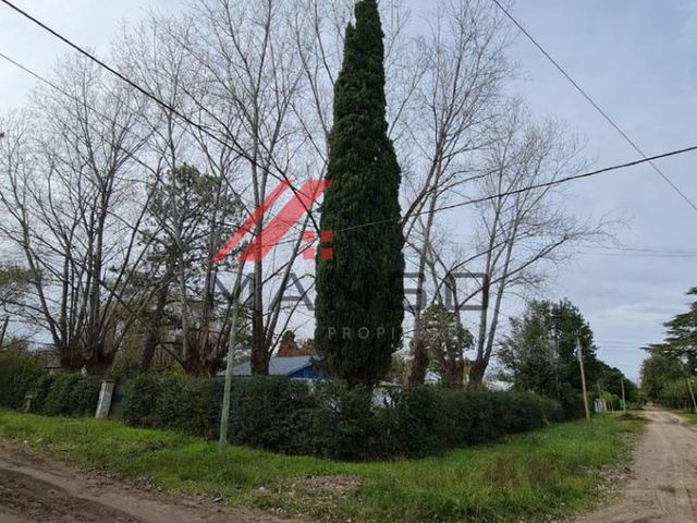 place photo 16