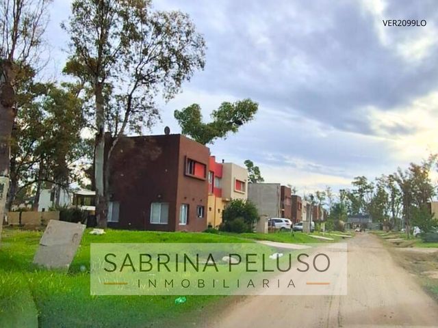 place photo 31