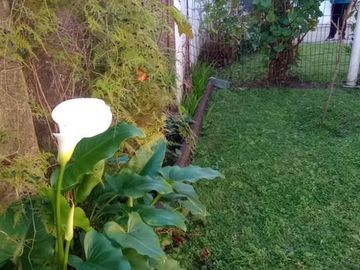 place photo 49