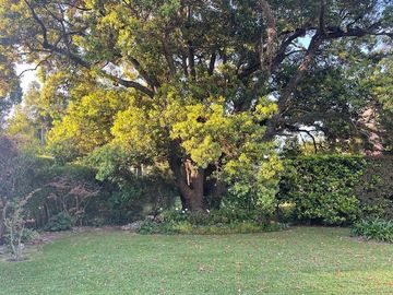 place photo 72