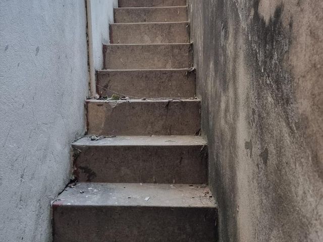 place photo 58