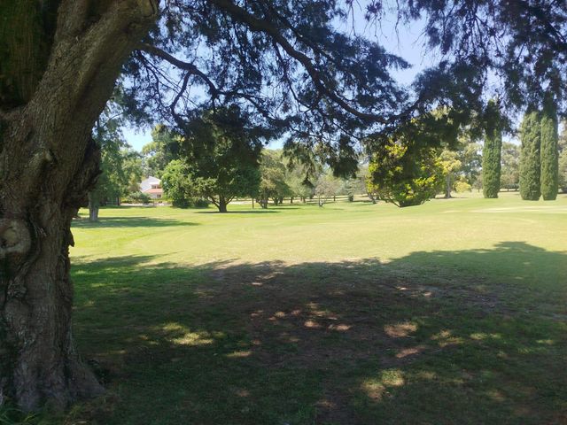 place photo 30