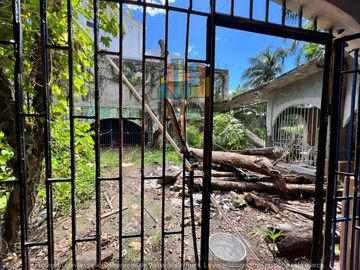 place photo 27